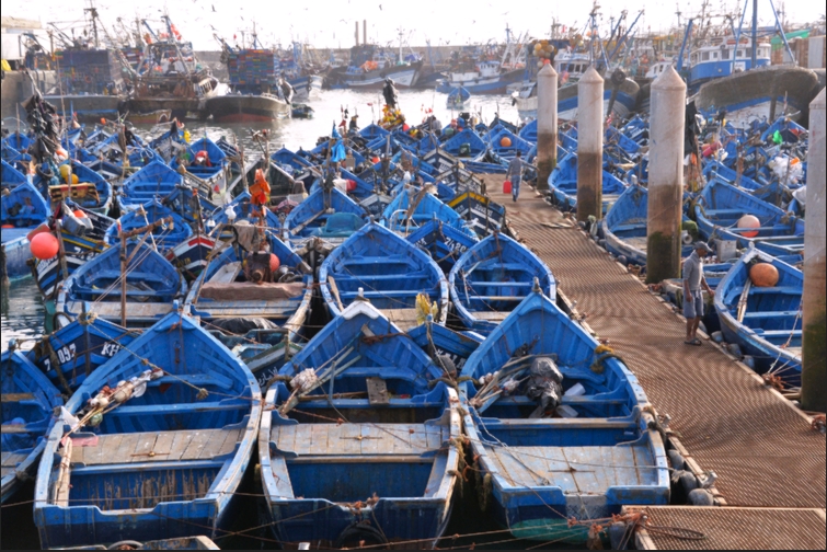 Fish Market Marina in Morrocco with Marina Mate Invoicing Software